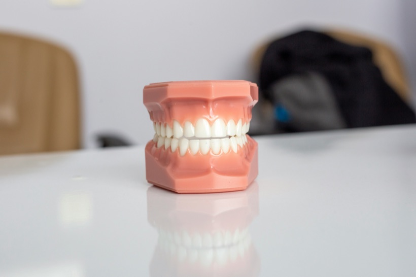 Modelo dental